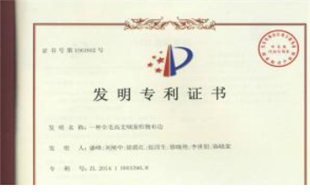 南山紡織服飾發明專利績效進入煙臺市前二十強